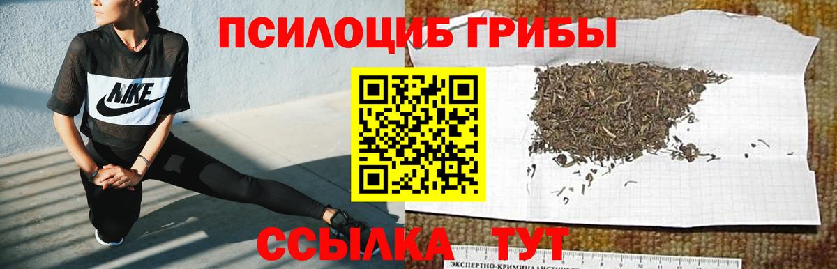Псилоцибиновые грибы Psilocybe  Вход с VPN  Галлюциногенные грибы мицелий  Новотроицк 