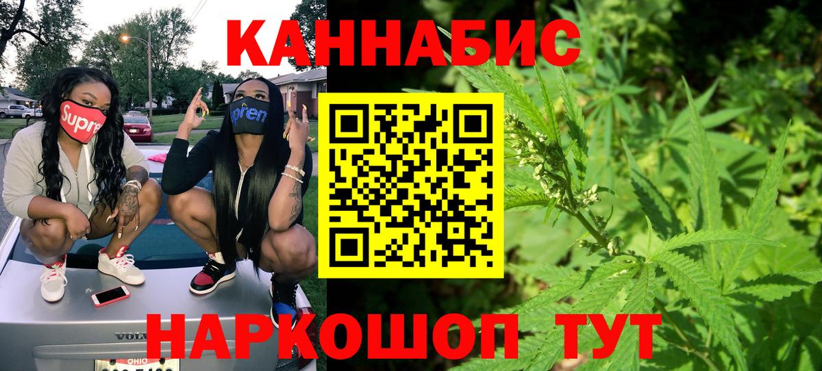 Каннабис семена  Бошки марихуана Bruce Banner  Вход с VPN  Новотроицк 